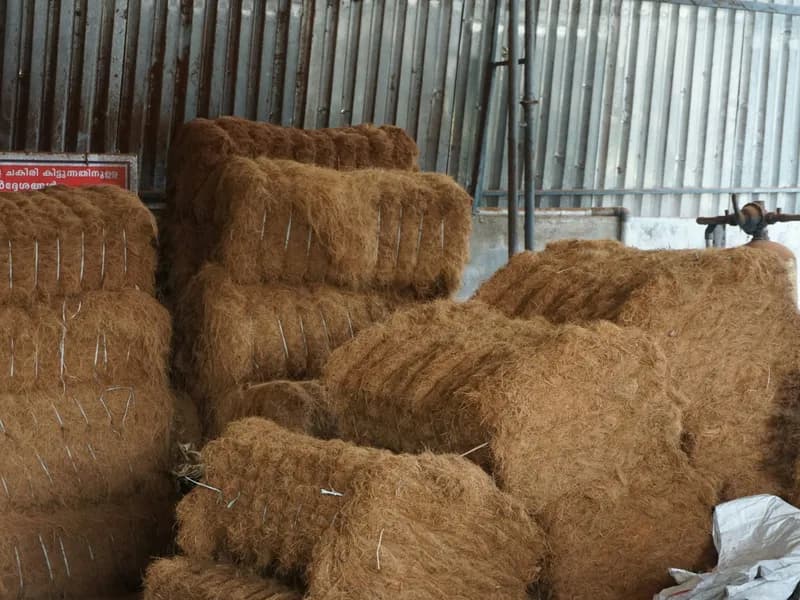 Coir Making Villages (Muhamma & Kainakary)