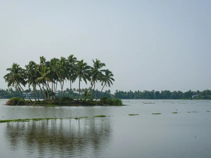 Pathiramanal Island
