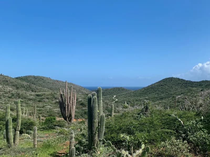 Arikok National Park