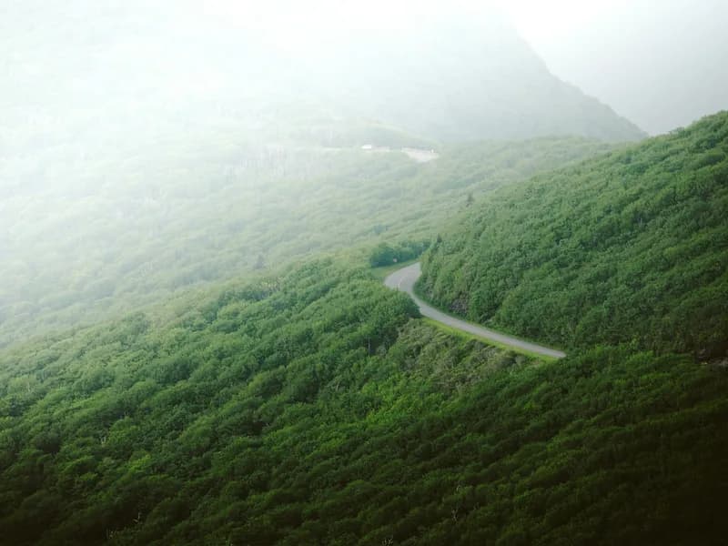 Blue Ridge Parkway