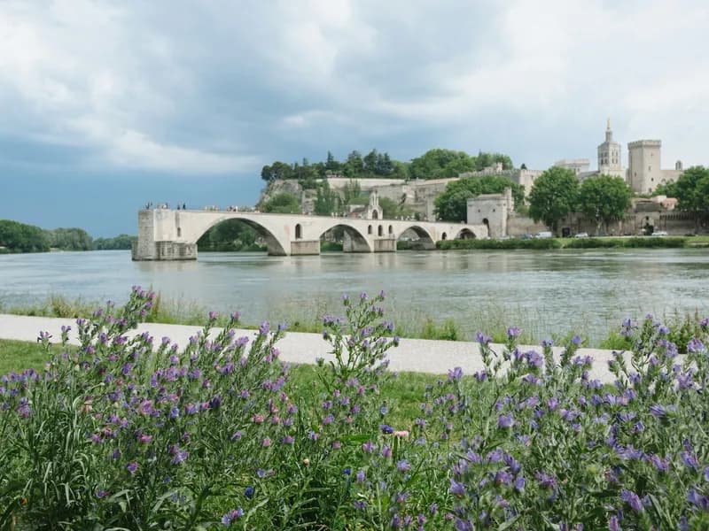Rocher des Doms