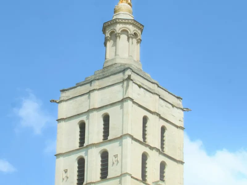 Cathédrale Notre-Dame des Doms