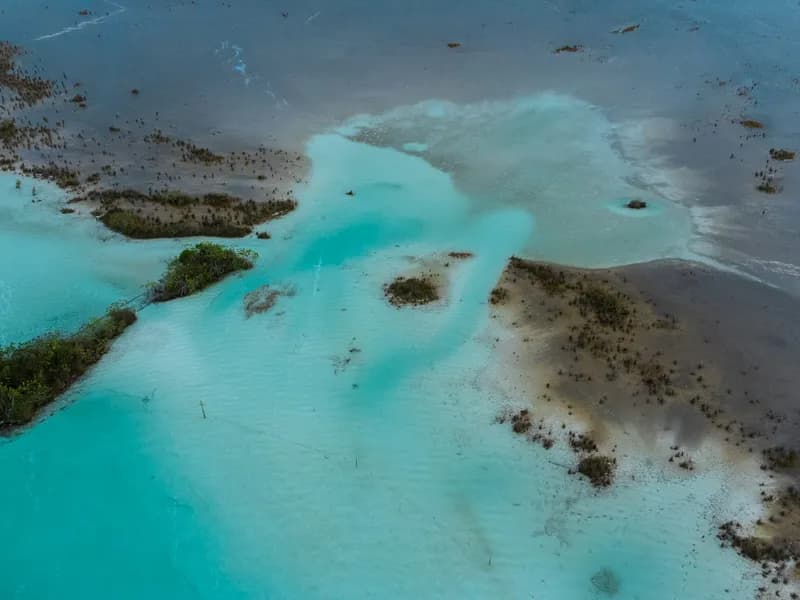 Stromatolites of Bacalar