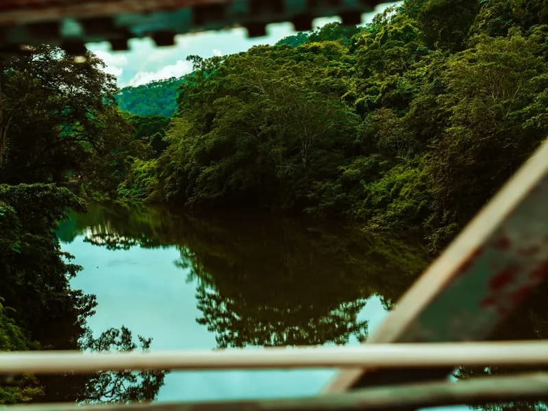 Cave Tubing at Caves Branch