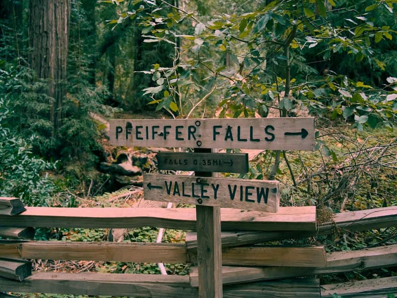 Pfeiffer Big Sur State Park