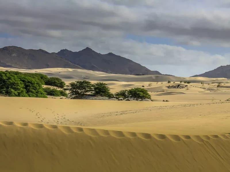 Sal Rei & Boa Vista Beaches