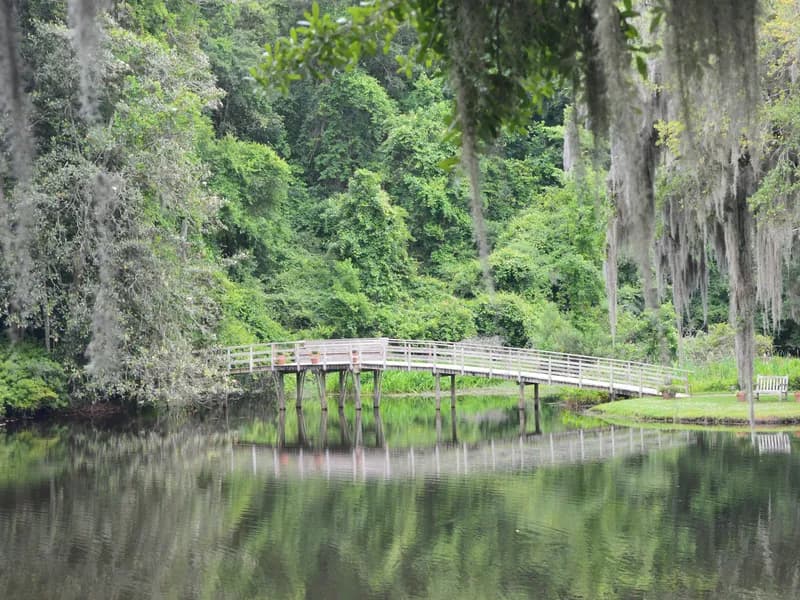 Magnolia Plantation and Gardens