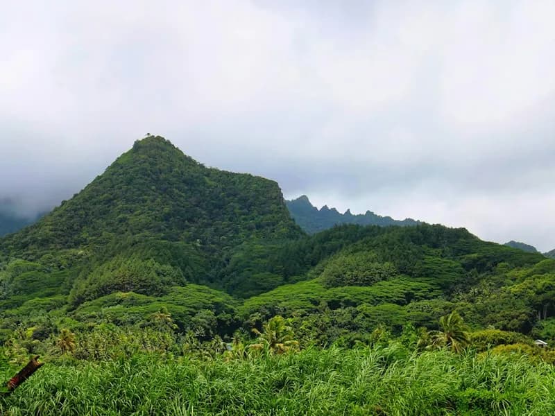 Cross-Island Trek (Rarotonga)