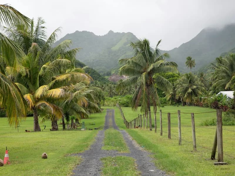 Punanga Nui Market