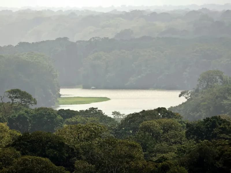 Tortuguero National Park