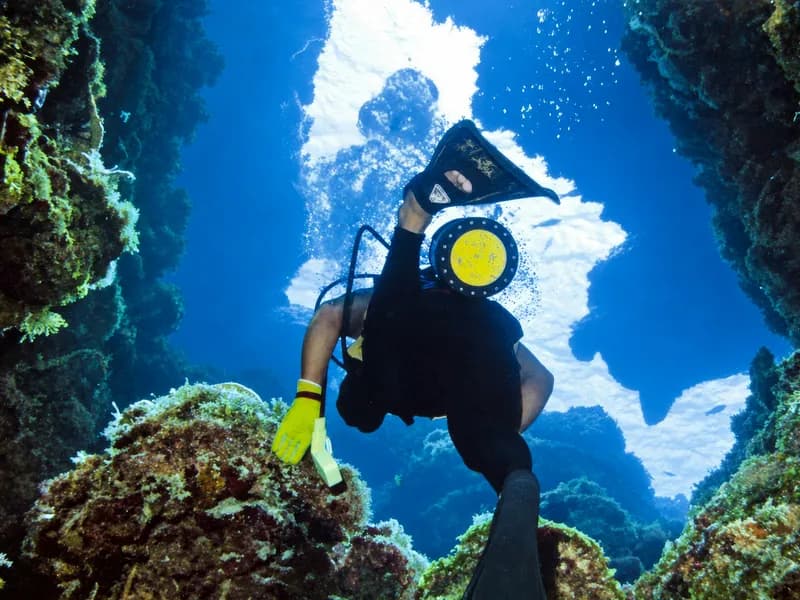 Palancar Reef
