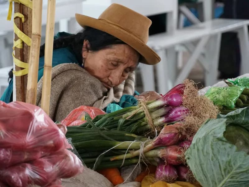 San Pedro Market