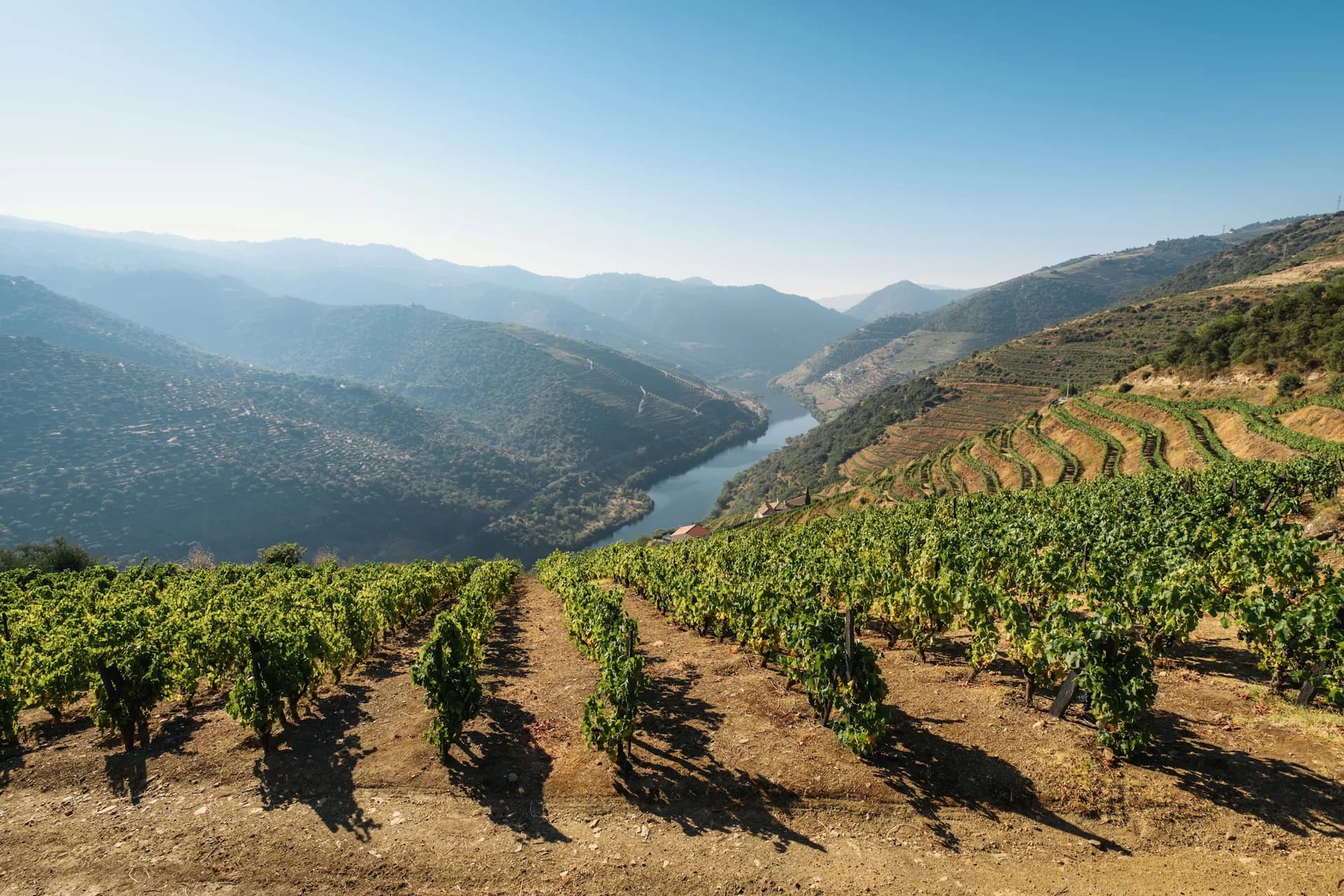 8 Douro Valley Experiences That Go Beyond Wine Tasting