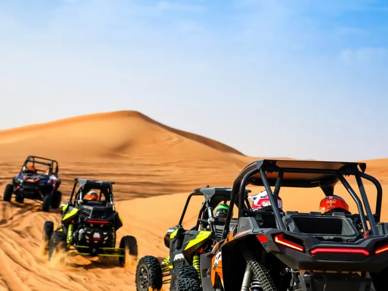 Desert Safari