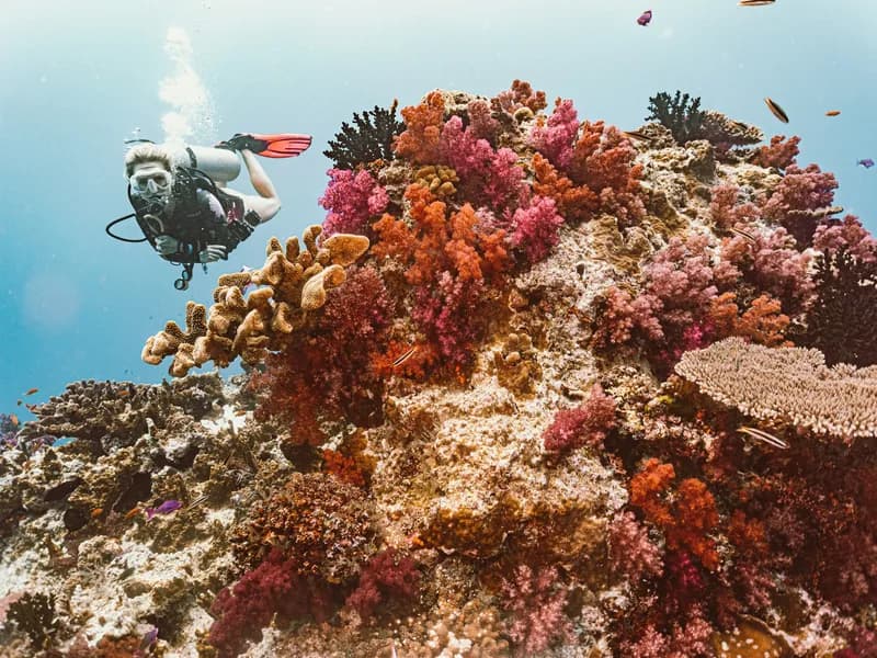 Great Astrolabe Reef