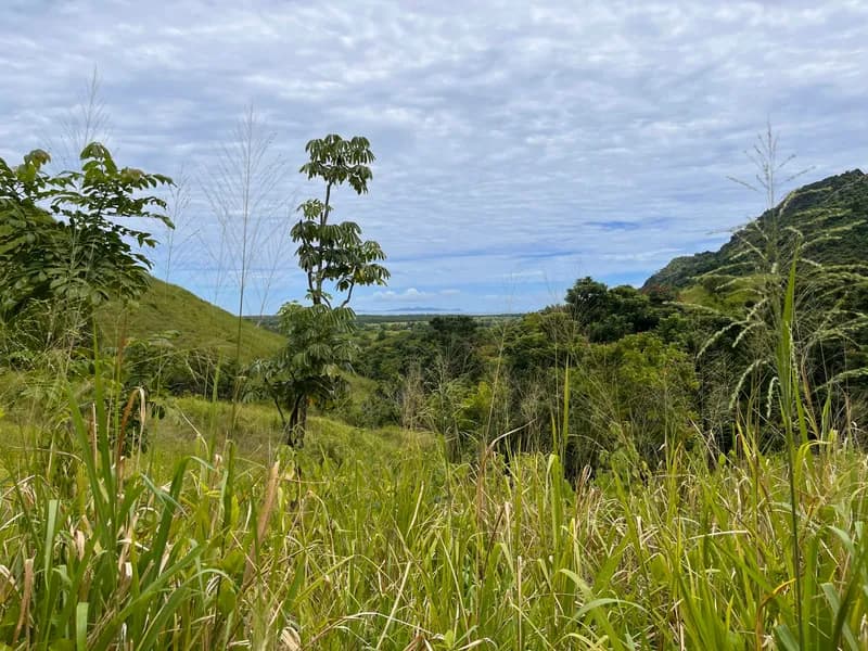 Garden of the Sleeping Giant