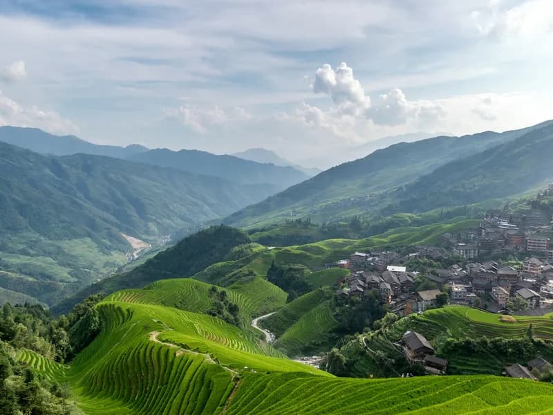 Longji Rice Terraces (Dragon's Backbone)