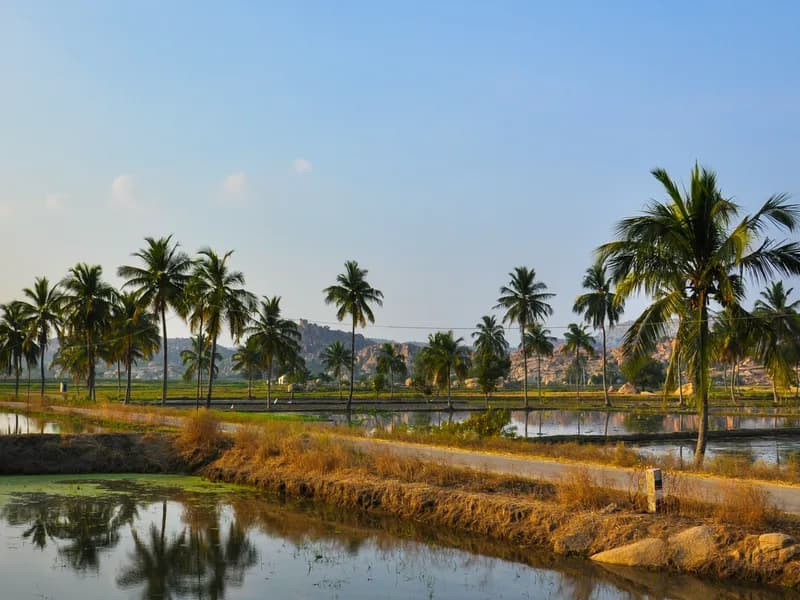 Hippie Island (Virupapur Gaddi)