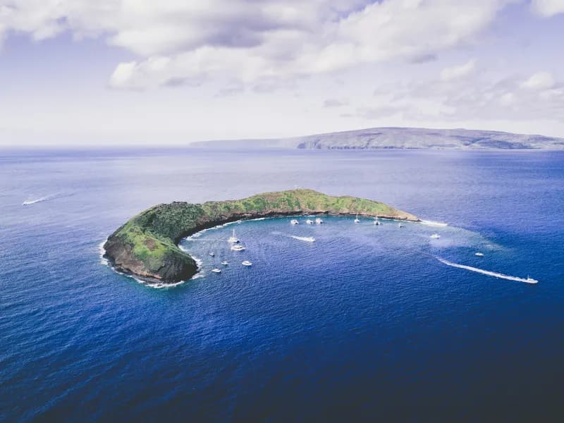Molokini Crater Snorkeling (Maui)