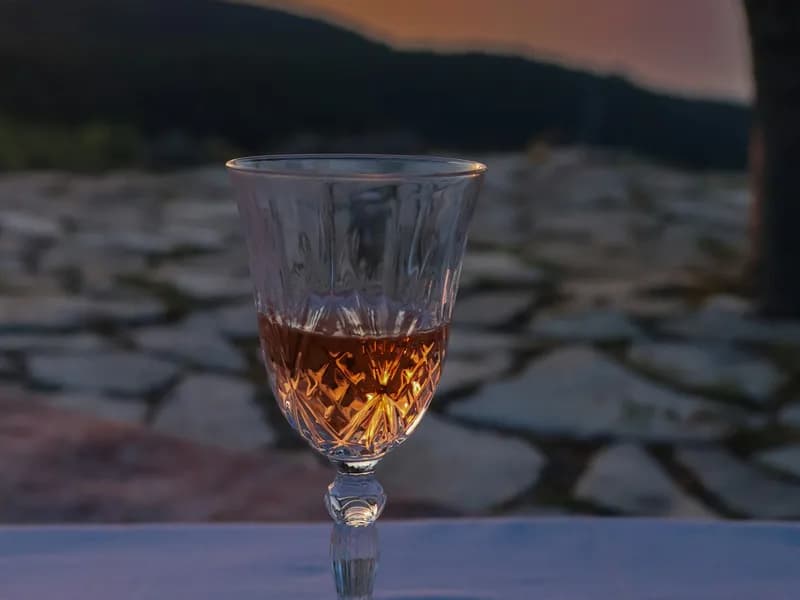 Hvar Wine Tasting