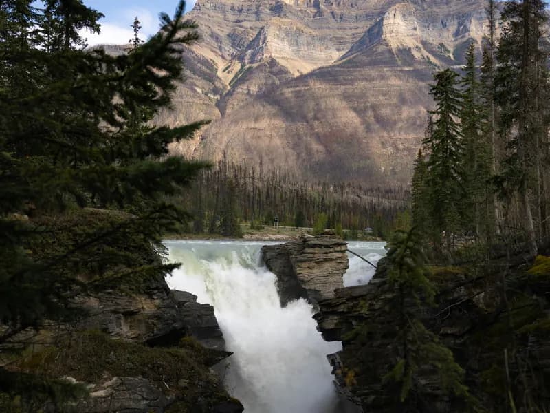 Athabasca Falls
