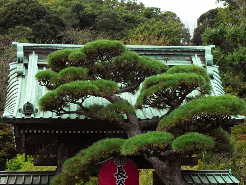 Hasedera Temple