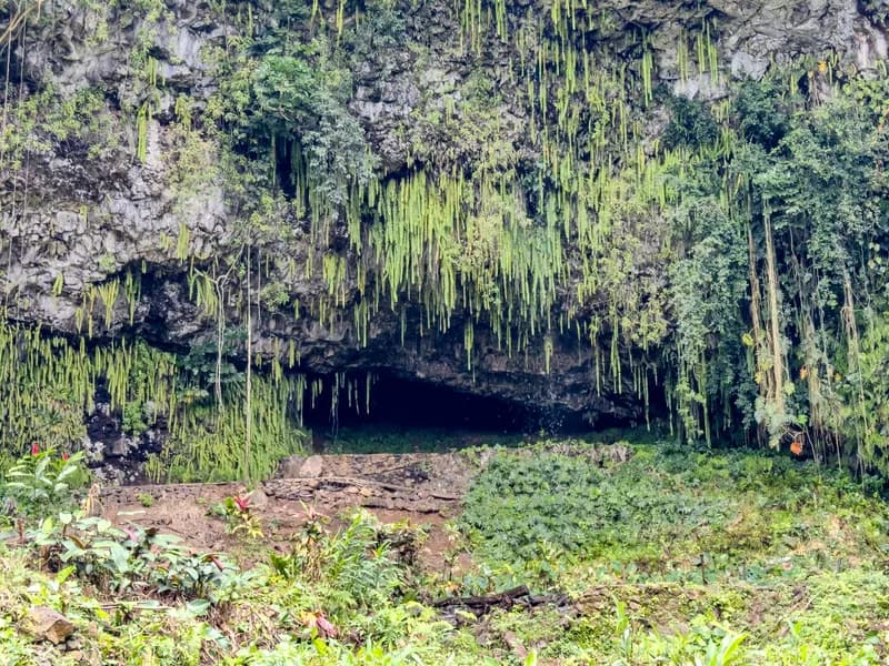Fern Grotto