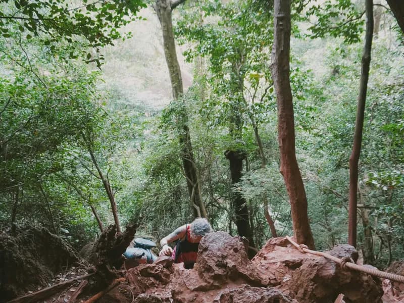 Thung Teao Forest Natural Park