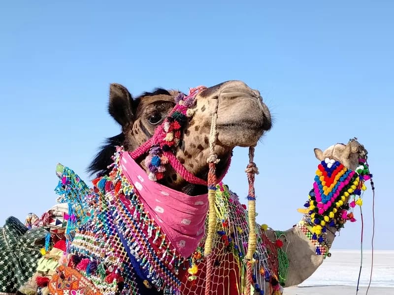 Handicraft Villages (Nirona, Bhujodi, Ajrakhpur)