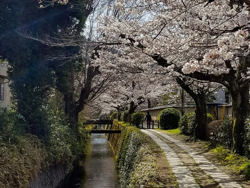 Philosopher's Path