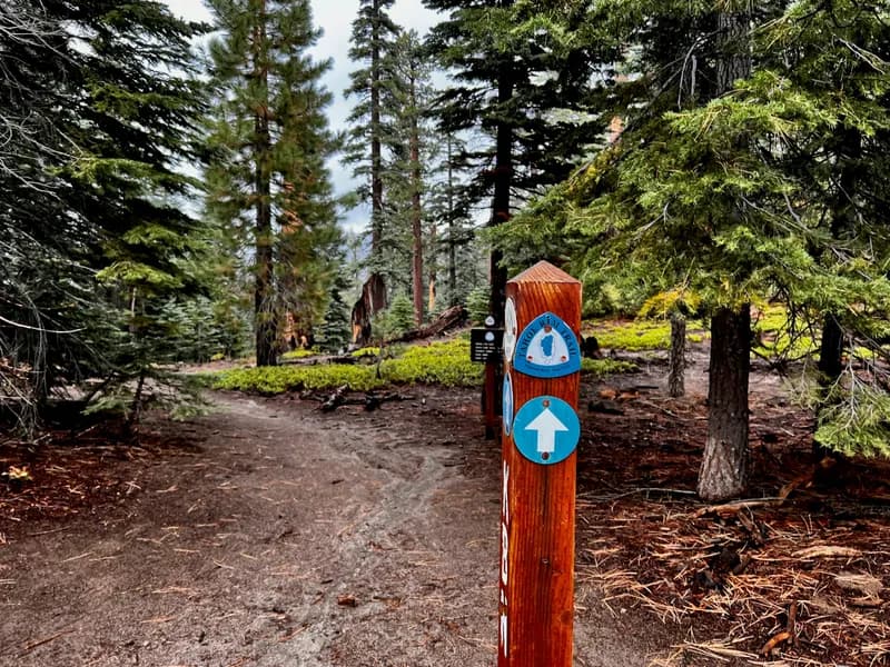 Tahoe Rim Trail