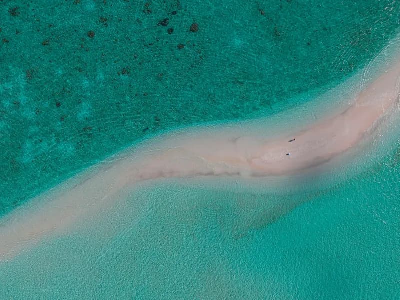 Sandbank Picnic