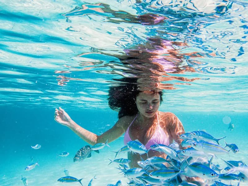 Underwater Restaurant at Ithaa