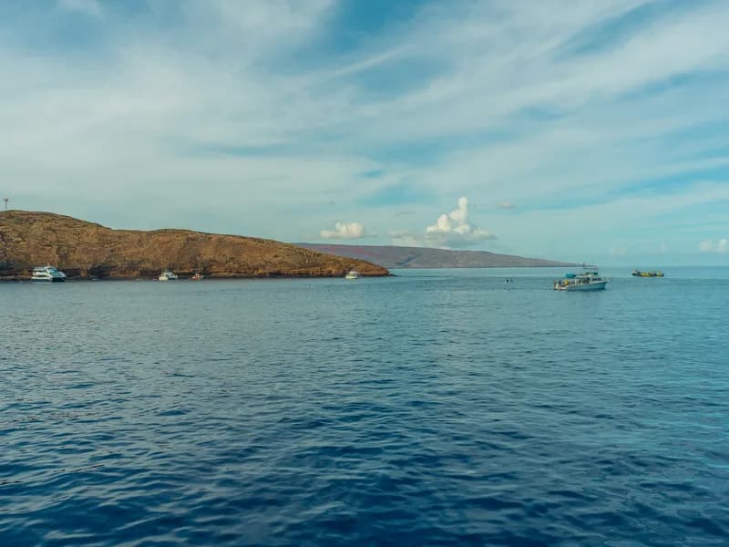 Molokini Crater Snorkeling