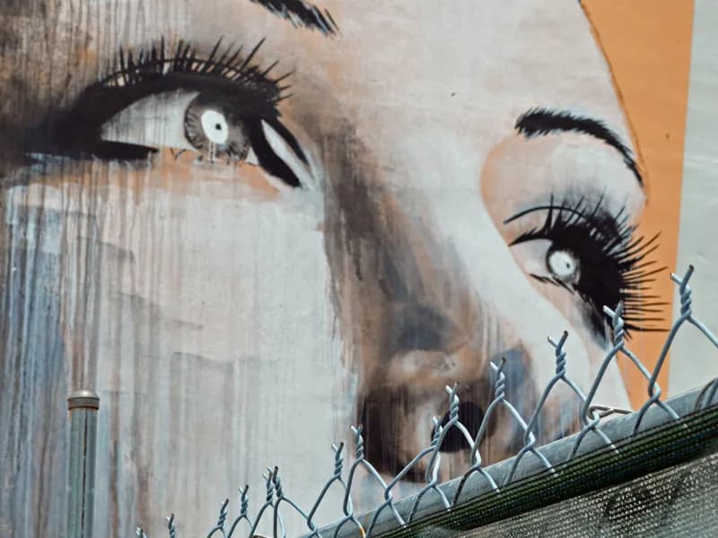Wynwood Walls