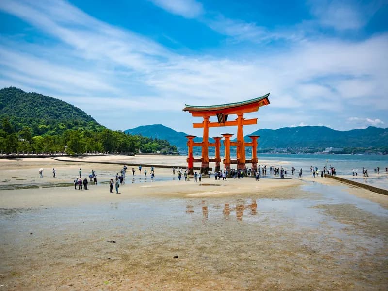 Floating Torii Gate (O-Torii)