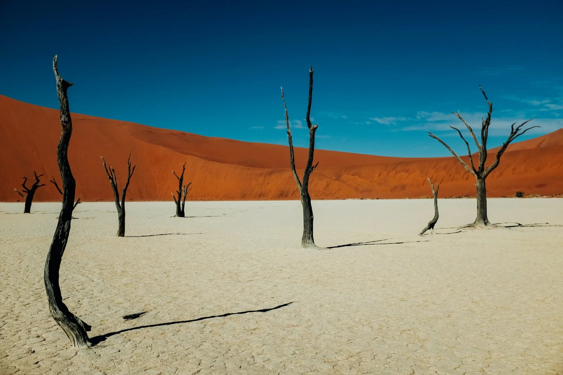Namibia for Stargazers: The Darkest Skies You'll Ever See