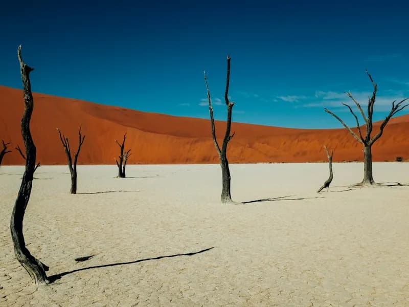 Namibia destination