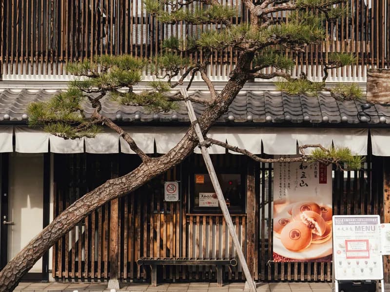 Naramachi Old Town