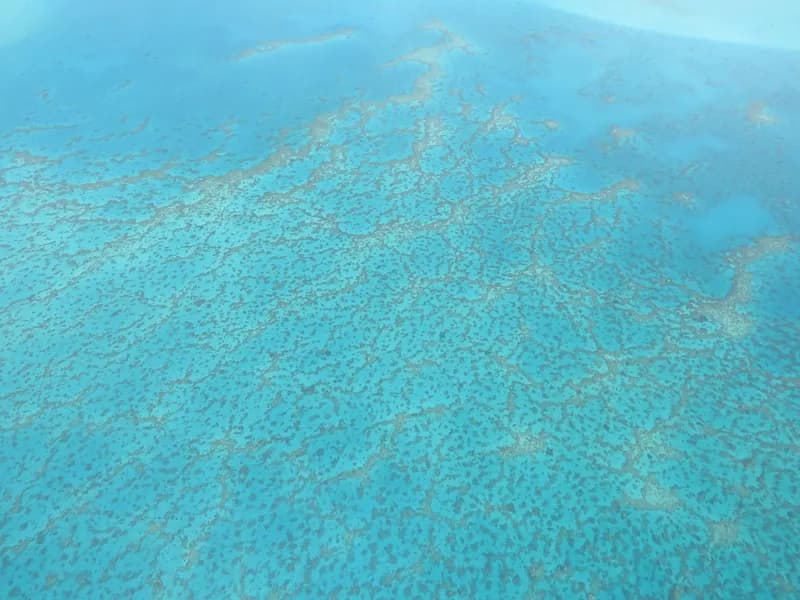 New Caledonia Barrier Reef