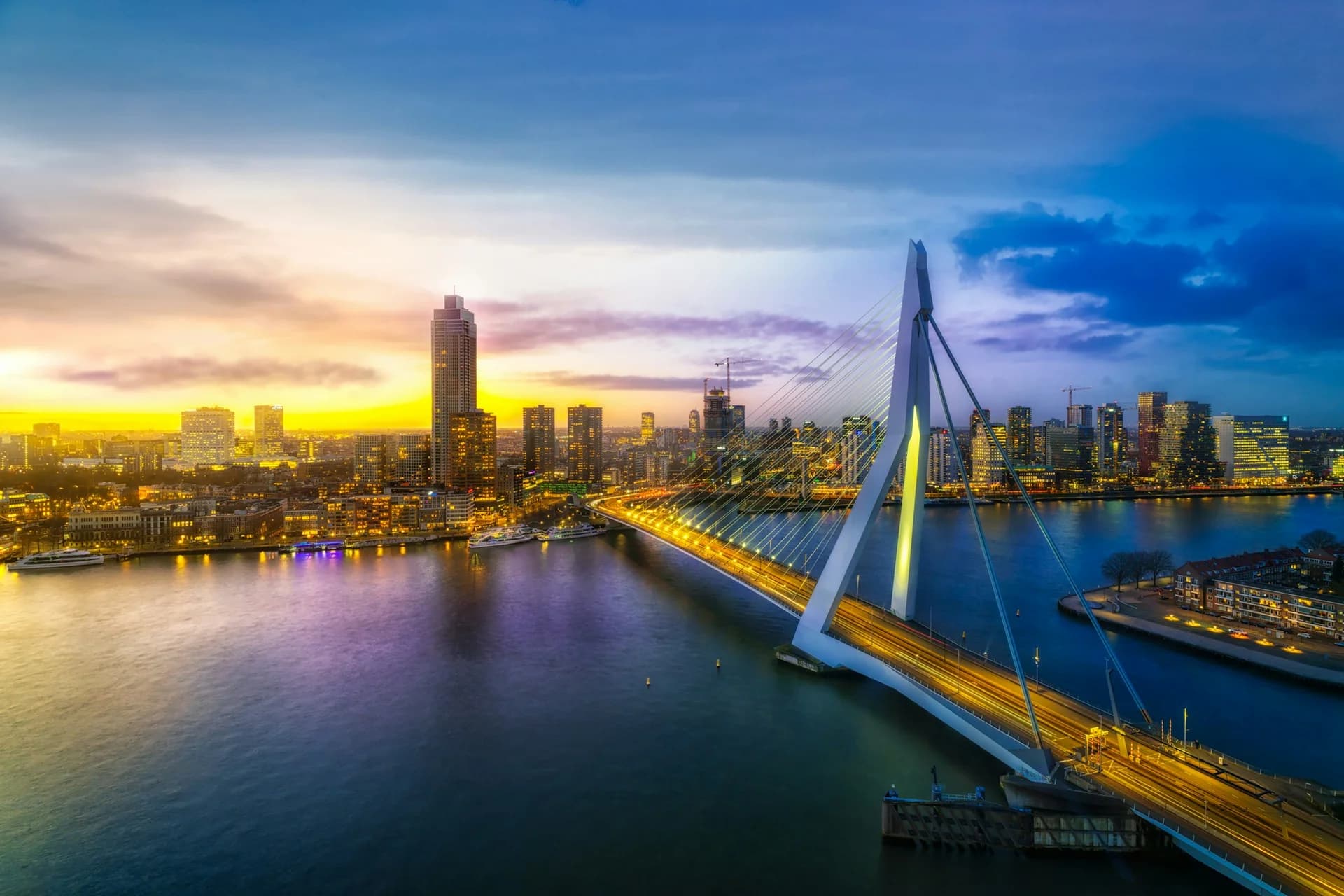 Rotterdam landscape