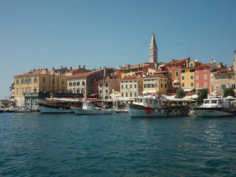 Rovinj Fish Market & Harbor