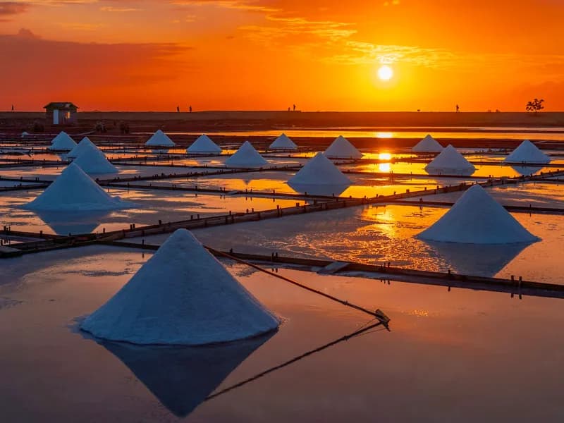 Sicao Green Tunnel & Salt Fields