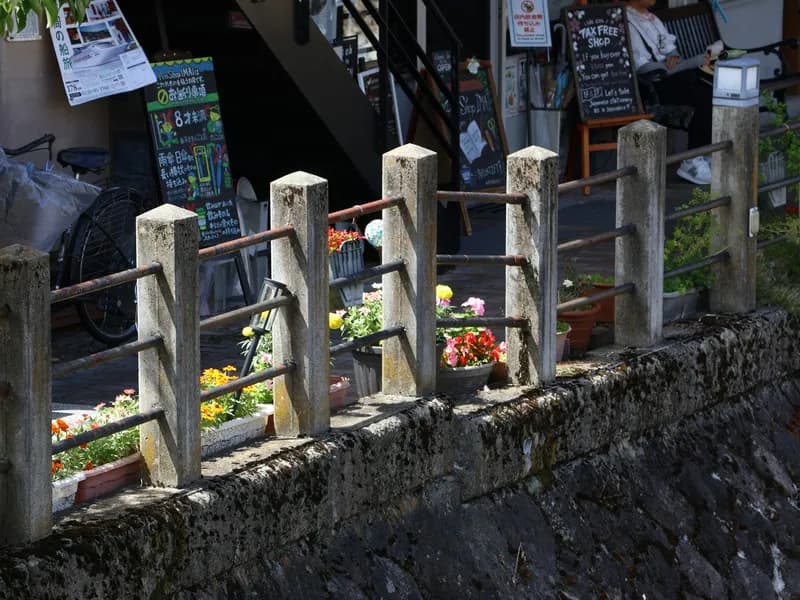 Miyagawa Morning Market