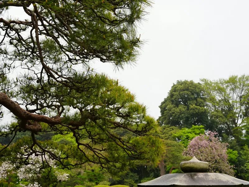 Shinjuku Gyoen National Garden
