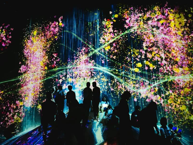 TeamLab Borderless