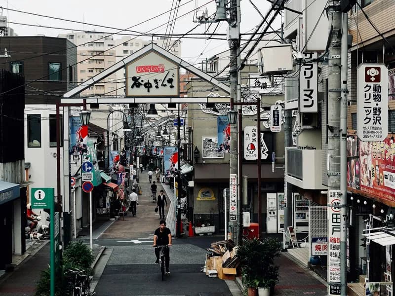 Yanaka District