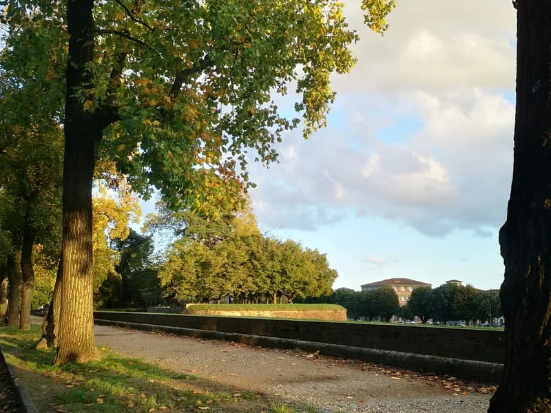 Lucca's Walls