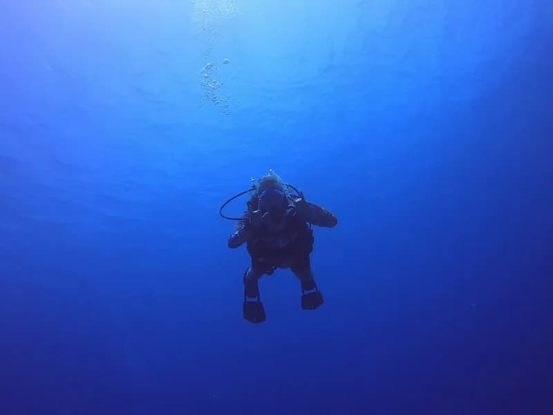 PADI Open Water Certification