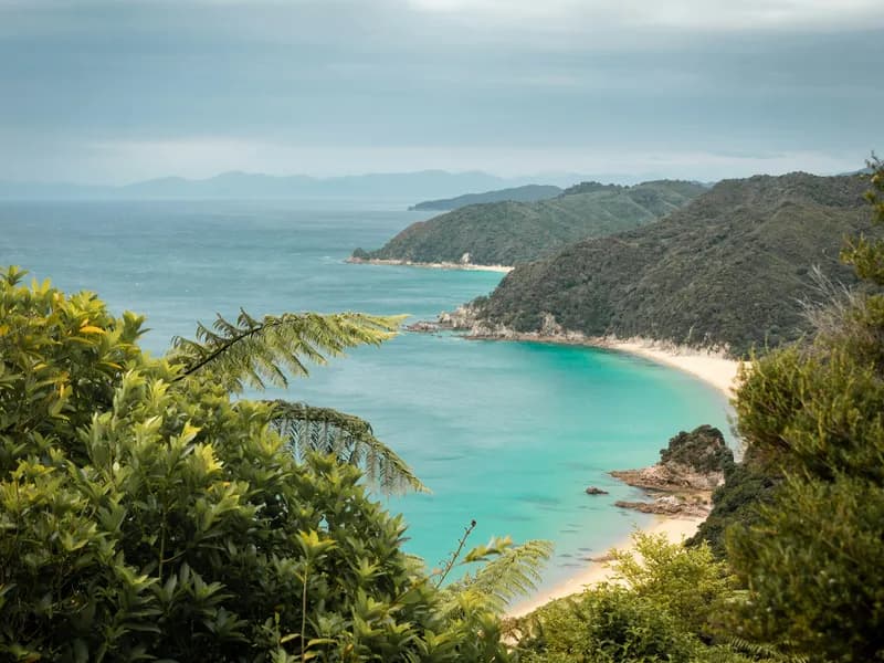 Abel Tasman Coast Track